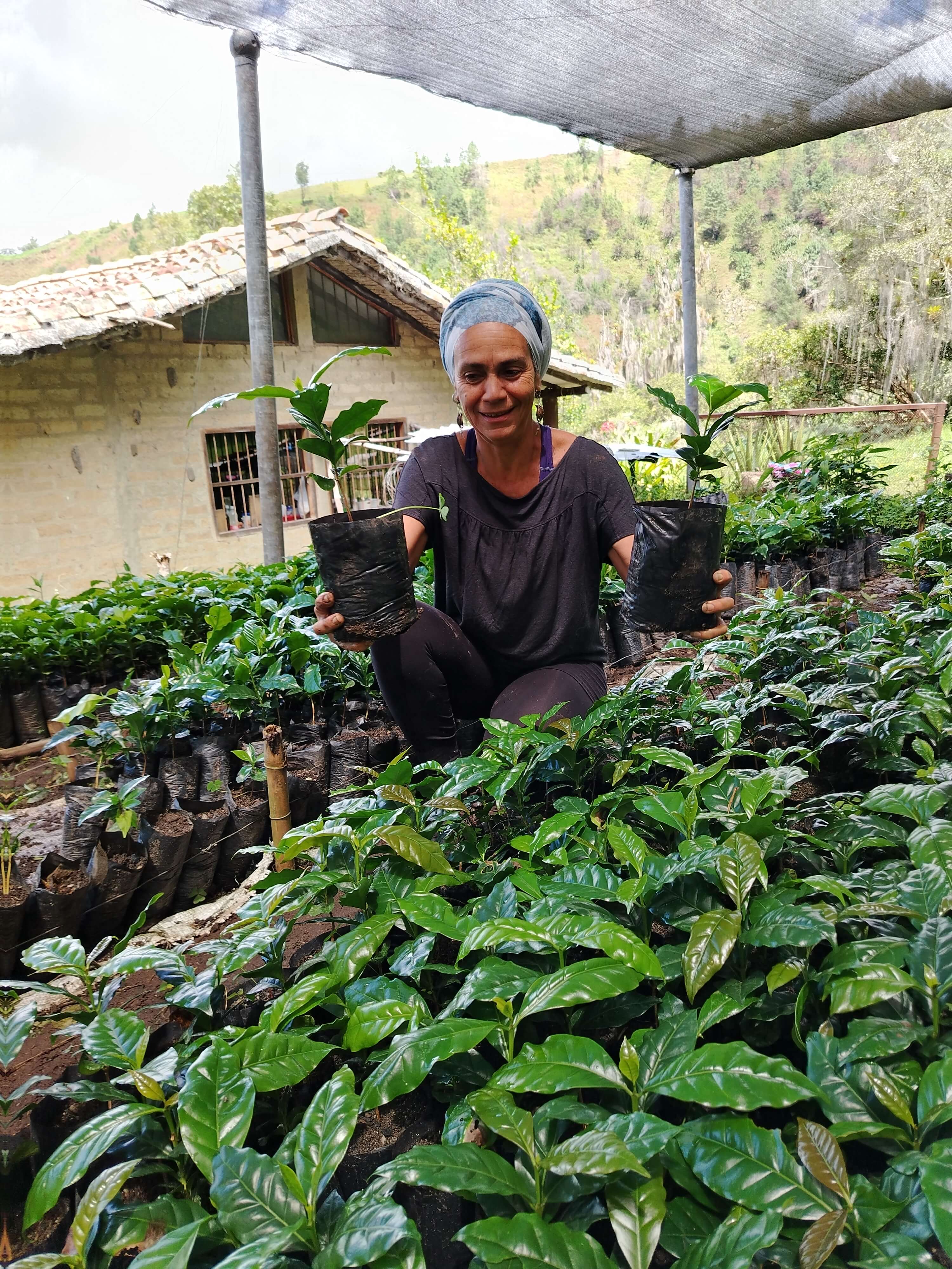 generacion cultivando